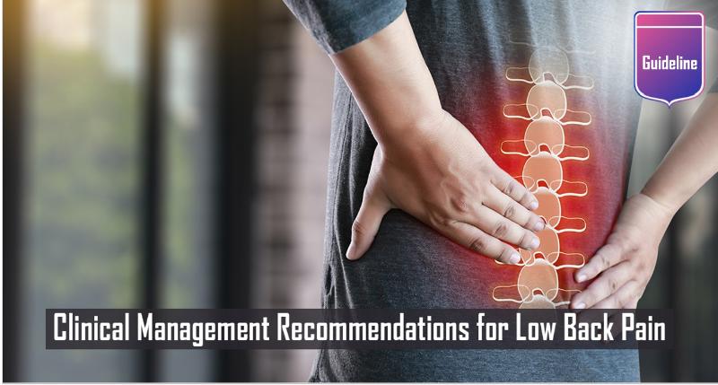 Effective Therapy for Low Back Pain: Summary of VA/DoD Clinical Practice Guidelines 2022