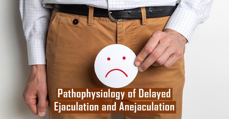 Concerns Associated with the Delayed Ejaculation