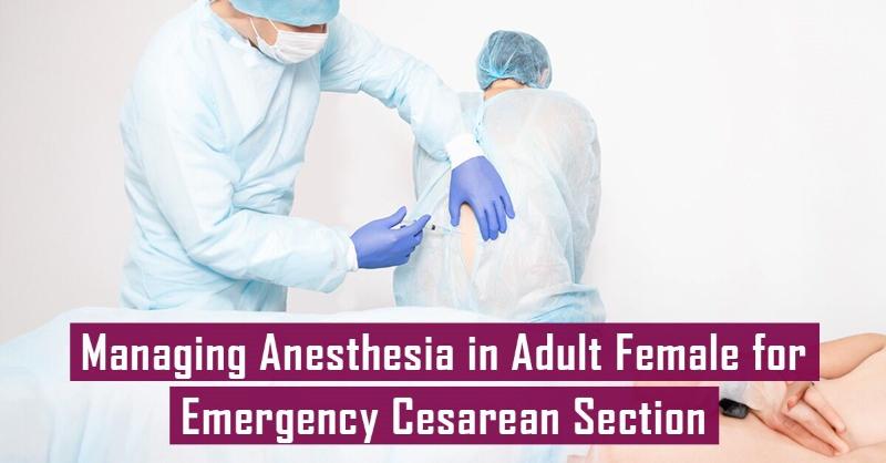 <p>Anesthetic Management of Emergency Cesarean Section in an Adult Female</p>