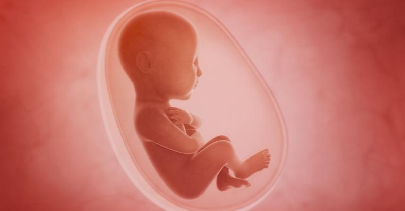 Intrauterine Growth Restriction (IUGR) - What We Should Know
