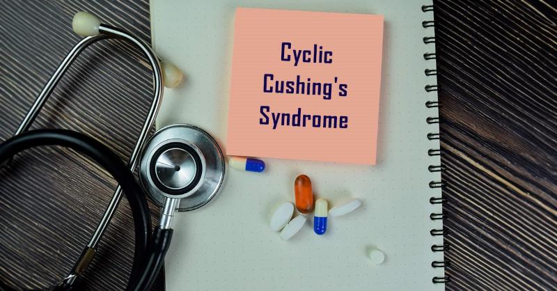 <p>Cyclic Cushing's Syndrome: Challenges in Diagnosis and Clinical Management</p>