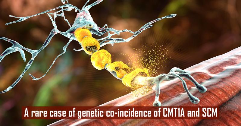 Co-Segregation of Charcot-Marie-Tooth disease (CMT1A) and Sodium Channel Myotonia (SCM): A Rare Case Study