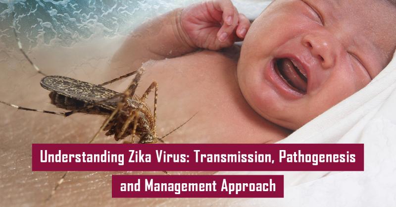 Zika Virus Overview and Its Implications for Public Health