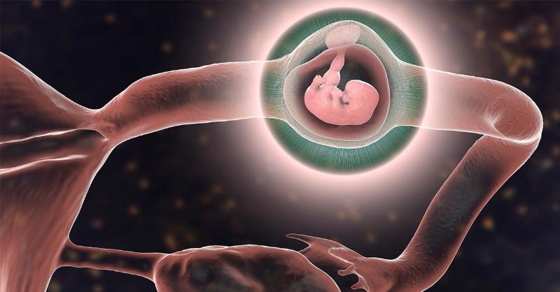 <p>A Case of Heterotopic Cervical Pregnancy with The Management of Ultrasound-Guided Aspiration</p>