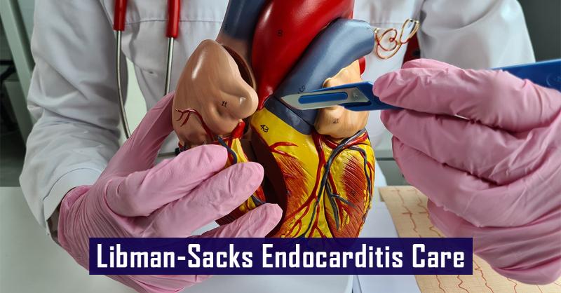 <p>A Comprehensive Approach to Managing Libman-Sacks Endocarditis</p>