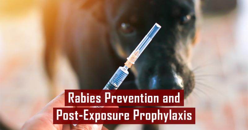 <p>Recommended Guidelines for the Management of Rabies in Humans</p>