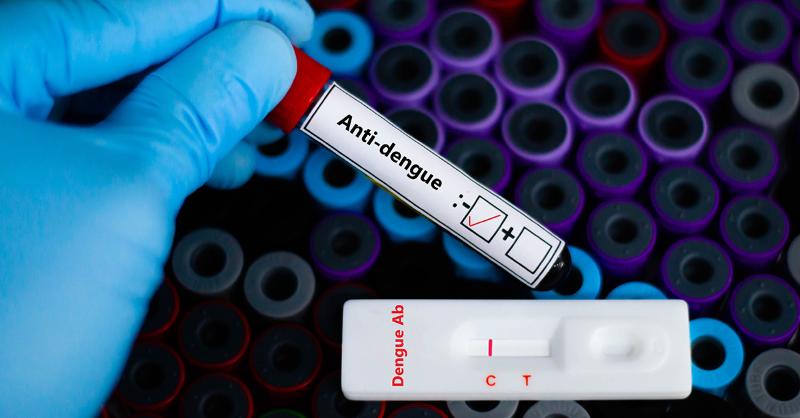 <p>The Evolution of Dengue: From Initial Bite to Recovery</p>