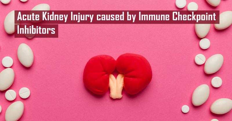 Diagnosis of Acute Kidney Injury caused by Immune Checkpoint Inhibitors ...