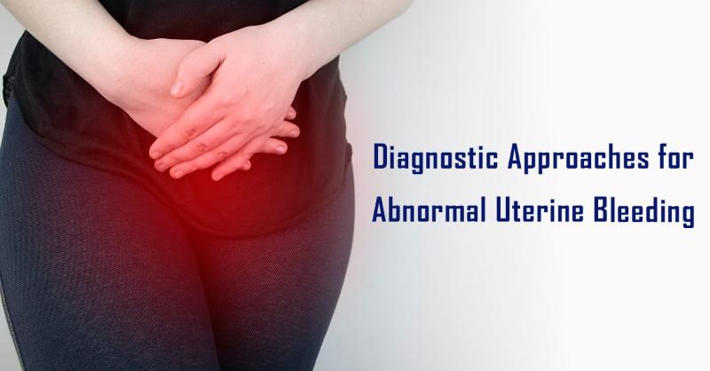 <p>Overview of Bleeding Patterns in Abnormal Uterine Bleeding</p>