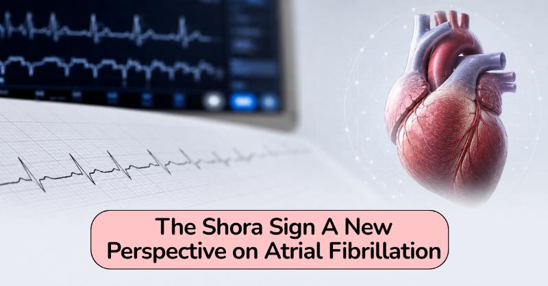 <div>Beyond Binary Diagnosis: Understanding the Shora Sign in Atrial Fibrillation</div>