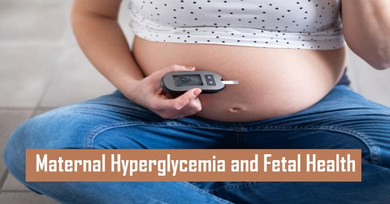 <p>The Impact of Maternal Hyperglycemia on Pregnancy and Child Health</p>