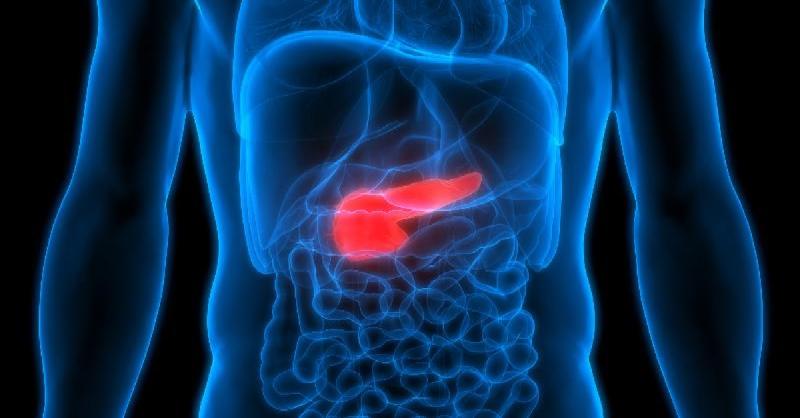 <p>Early Detection and Prevention: Enhancing Pancreatic Cancer Outcomes</p>