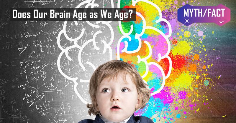 Brain Development in Humans