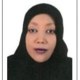 Dr. Areeg Mohamad