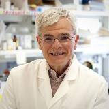 Dr. Michael M Gottesman