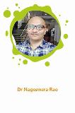 Dr. N  Nageswar Rao