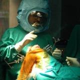 Dr. Sushrut Babhulkar