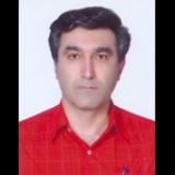 Dr. Farrokh  Habibzadeh