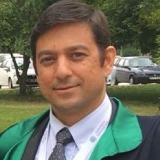 Dr. Serhan  Kupeli