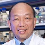 Dr. Gregory J Tsay