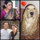 Dr. Rutuja Sharma-Tambe