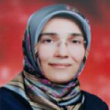 Dr. Betul Kozanhan