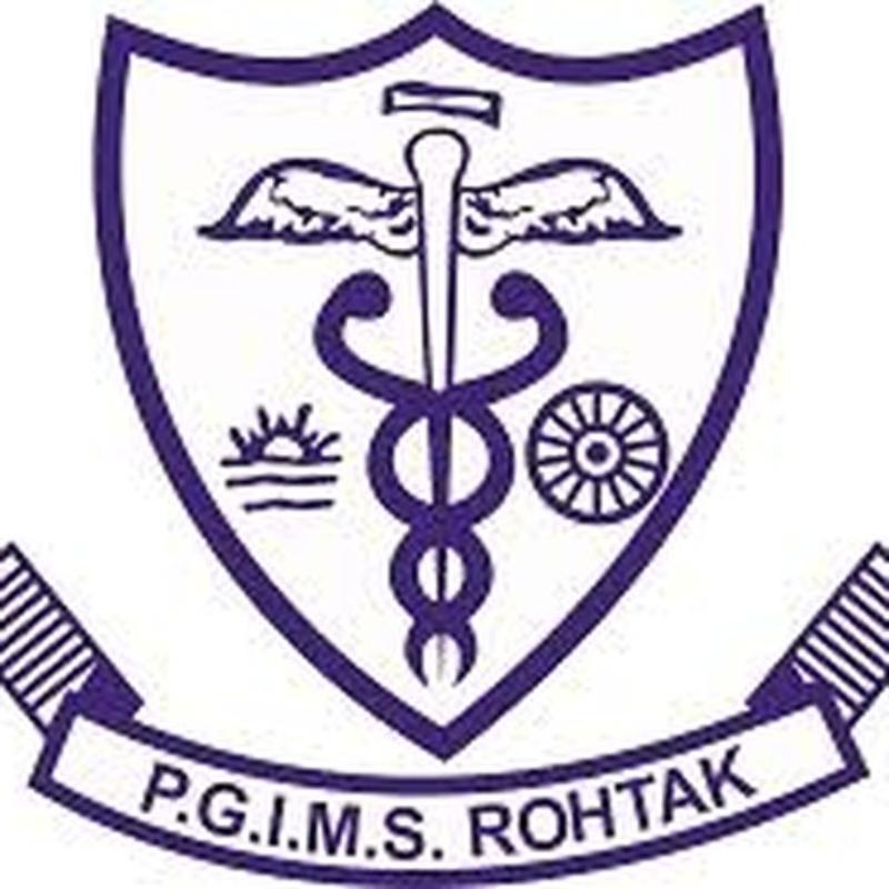 Pt. B D Sharma Postgraduate Institute of Medical Sciences