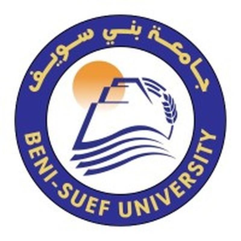 Beni Suef University Hospital