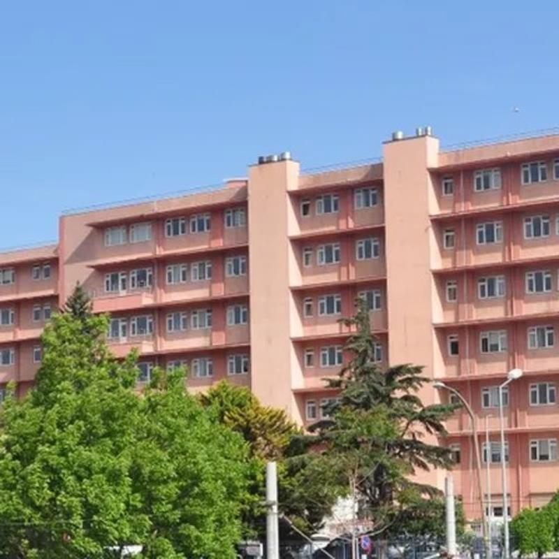 T C Saglik Bakanligi Istanbul Training And Research Hospital