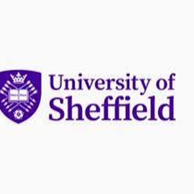 University of Sheffield