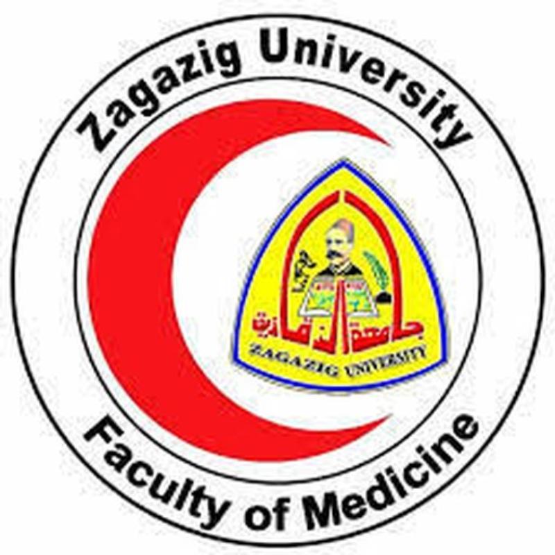 Zagazig University Faculty of Medicine