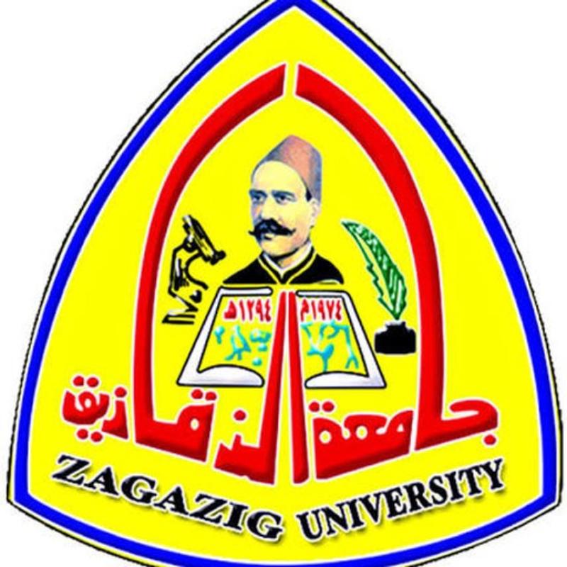 Zagazig University Faculty of Medicine