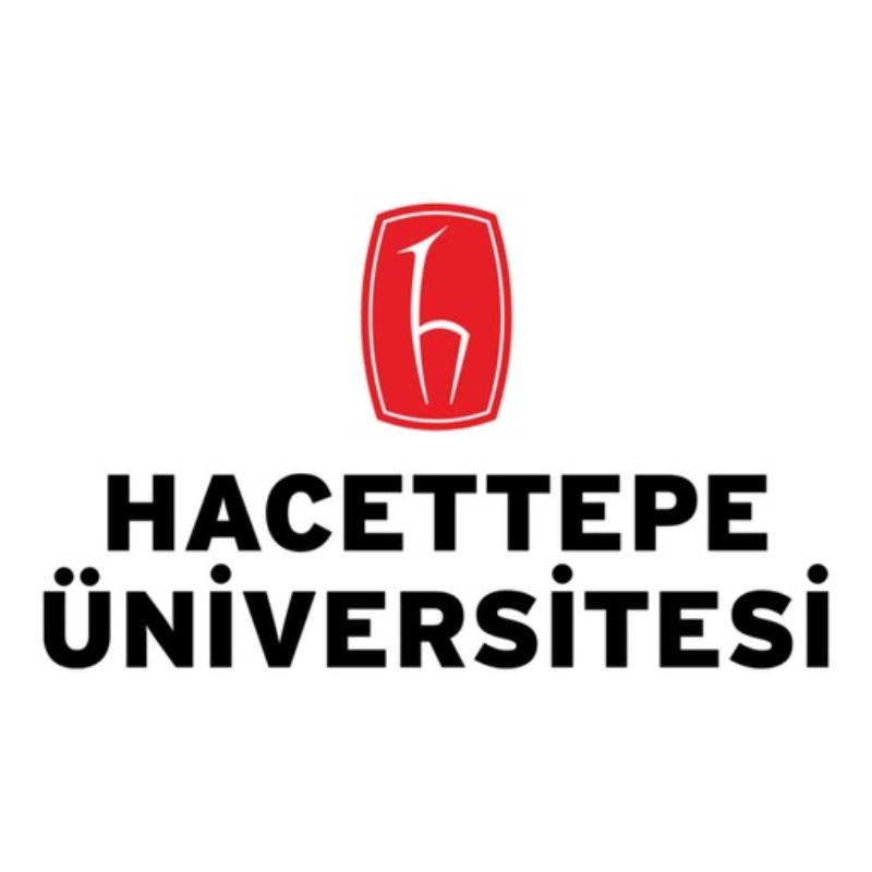 Hacettepe University