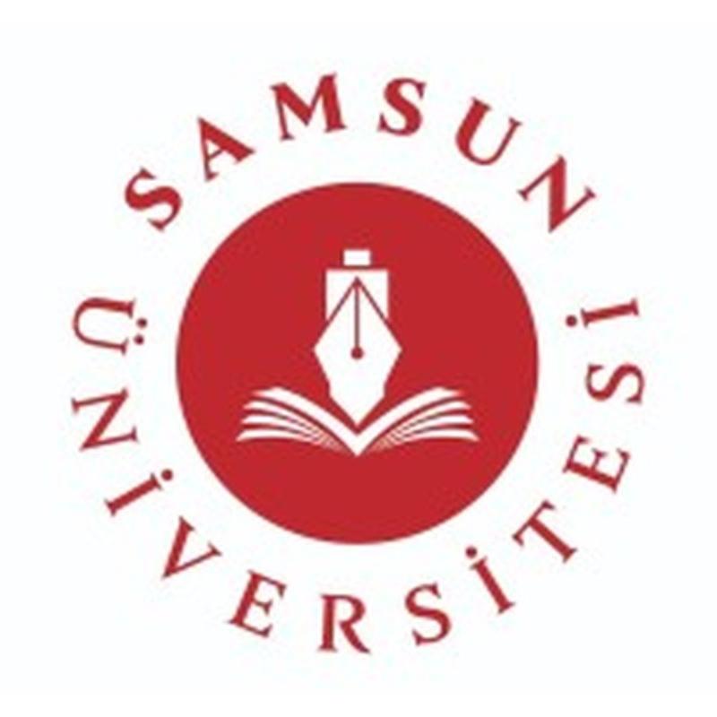 Samsun University